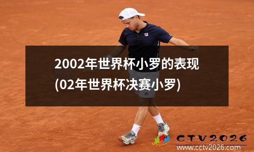 2002年世界杯小罗的表现(02年世界杯决赛小罗)