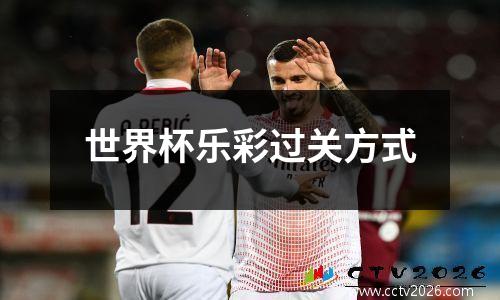 世界杯乐彩过关方式