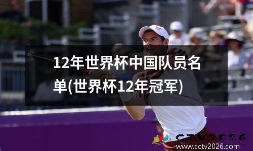 12年世界杯中国队员名单(世界杯12年冠军)