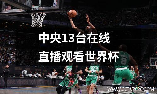 中央13台在线直播观看世界杯