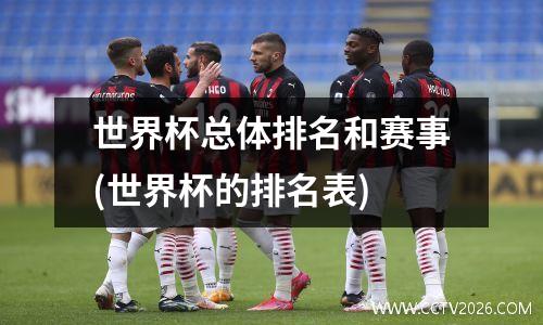 世界杯总体排名和赛事(世界杯的排名表)