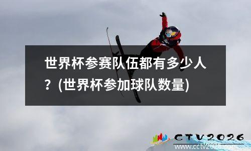 世界杯参赛队伍都有多少人？(世界杯参加球队数量)