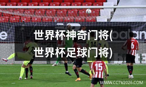 世界杯神奇门将(世界杯足球门将)