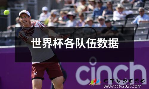 世界杯各队伍数据