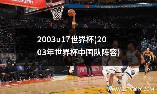 2003u17世界杯(2003年世界杯中国队阵容)