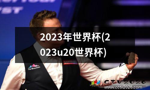 2023年世界杯(2023u20世界杯)