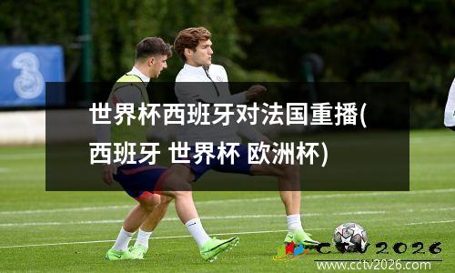 世界杯西班牙对法国重播(西班牙 世界杯 欧洲杯)