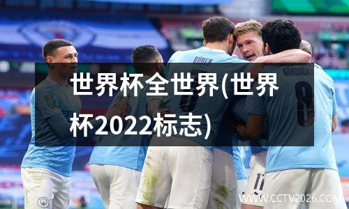 世界杯全世界(世界杯2022标志)