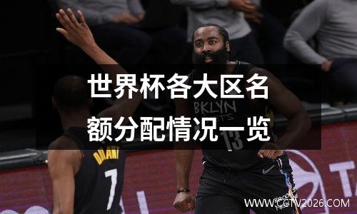 世界杯各大区名额分配情况一览