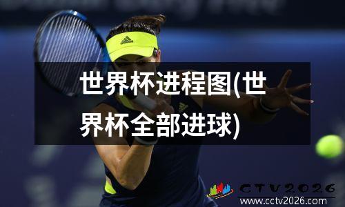 世界杯进程图(世界杯全部进球)