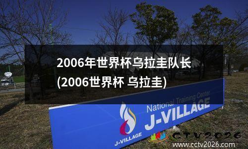 2006年世界杯乌拉圭队长(2006世界杯 乌拉圭)