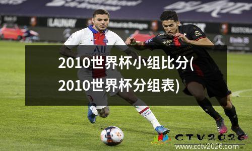 2010世界杯小组比分(2010世界杯分组表)