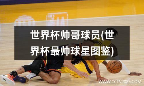 世界杯帅哥球员(世界杯最帅球星图鉴)