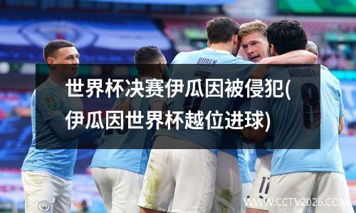 世界杯决赛伊瓜因被侵犯(伊瓜因世界杯越位进球)