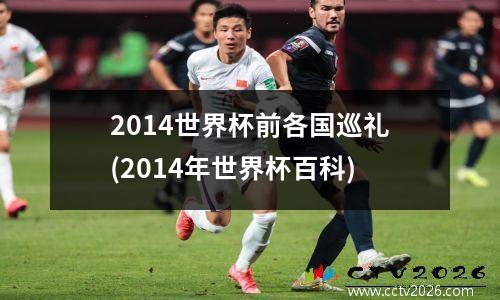 2014世界杯前各国巡礼(2014年世界杯百科)