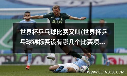 世界杯乒乓球比赛又叫(世界杯乒乓球锦标赛设有哪几个比赛项目)