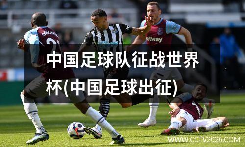 中国足球队征战世界杯(中国足球出征)