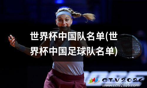 世界杯中国队名单(世界杯中国足球队名单)