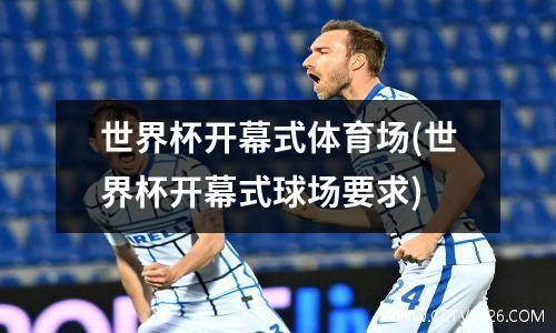 世界杯开幕式体育场(世界杯开幕式球场要求)