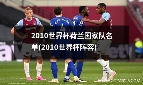 2010世界杯荷兰国家队名单(2010世界杯阵容)