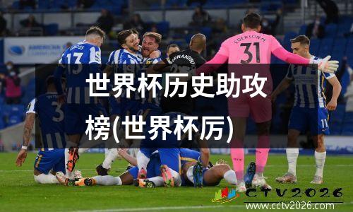 世界杯历史助攻榜(世界杯厉)
