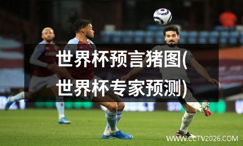 世界杯预言猪图(世界杯专家预测)