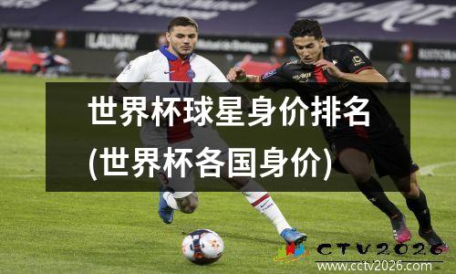 世界杯球星身价排名(世界杯各国身价)
