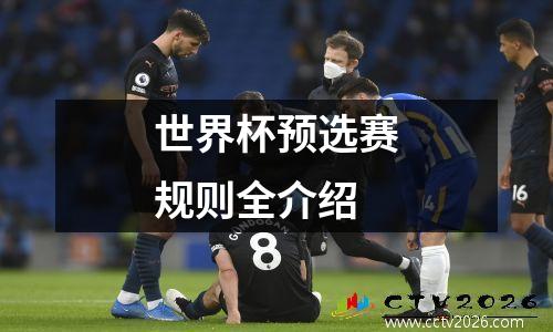 世界杯预选赛规则全介绍
