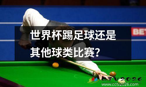 世界杯踢足球还是其他球类比赛？