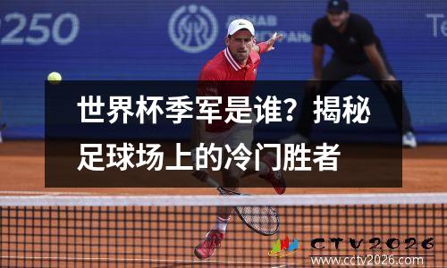 世界杯季军是谁？揭秘足球场上的冷门胜者