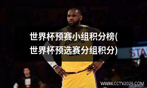 世界杯预赛小组积分榜(世界杯预选赛分组积分)