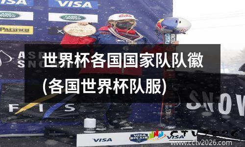 世界杯各国国家队队徽(各国世界杯队服)