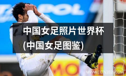 中国女足照片世界杯(中国女足图鉴)