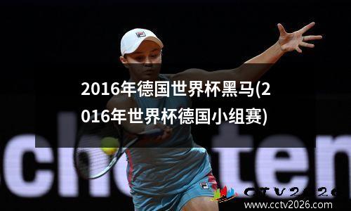 2016年德国世界杯黑马(2016年世界杯德国小组赛)