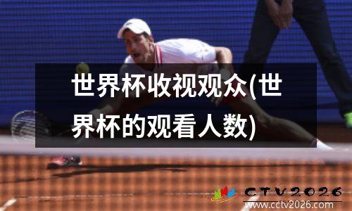 世界杯收视观众(世界杯的观看人数)