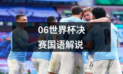 06世界杯决赛国语解说