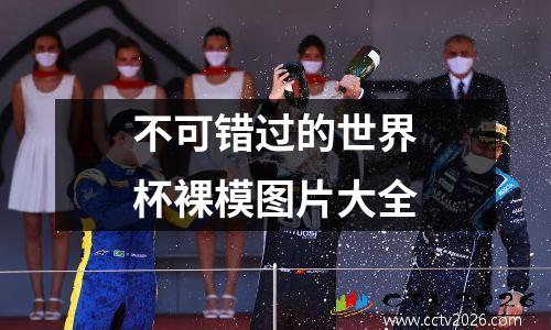 不可错过的世界杯裸模图片大全