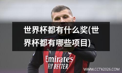 世界杯都有什么奖(世界杯都有哪些项目)