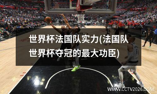 世界杯法国队实力(法国队世界杯夺冠的最大功臣)