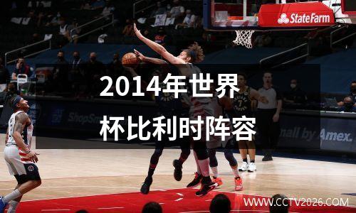 2014年世界杯比利时阵容