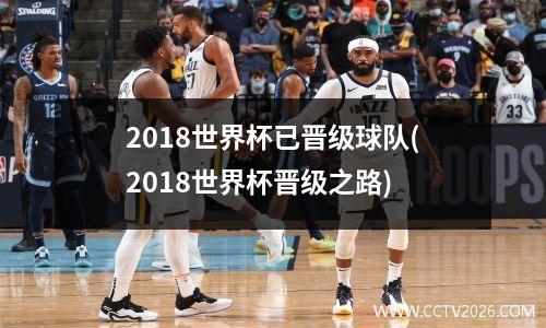 2018世界杯已晋级球队(2018世界杯晋级之路)