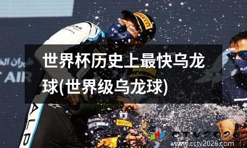 世界杯历史上最快乌龙球(世界级乌龙球)
