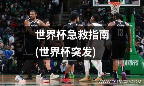 世界杯急救指南(世界杯突发)