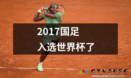 2017国足入选世界杯了