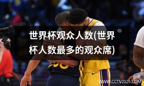 世界杯观众人数(世界杯人数最多的观众席)