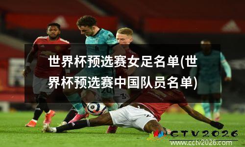 世界杯预选赛女足名单(世界杯预选赛中国队员名单)