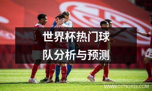 世界杯热门球队分析与预测