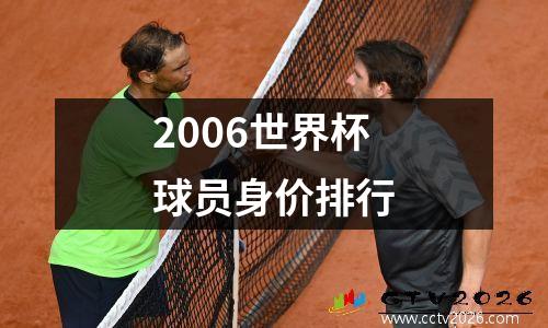 2006世界杯球员身价排行