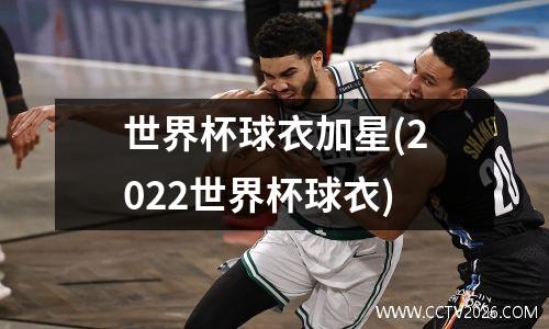 世界杯球衣加星(2022世界杯球衣)