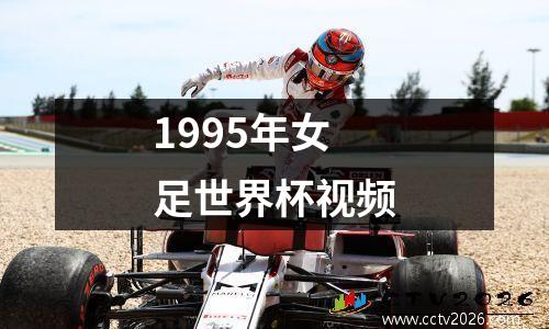 1995年女足世界杯视频